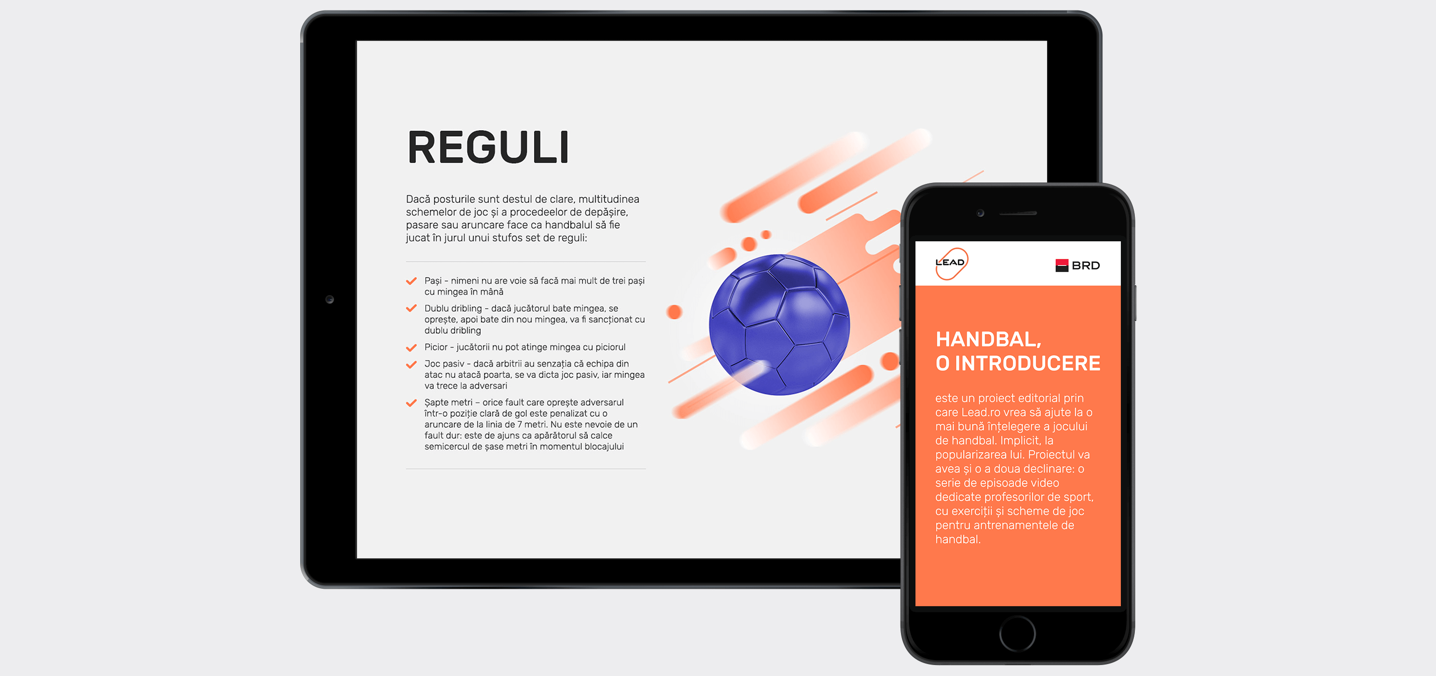 Lead website