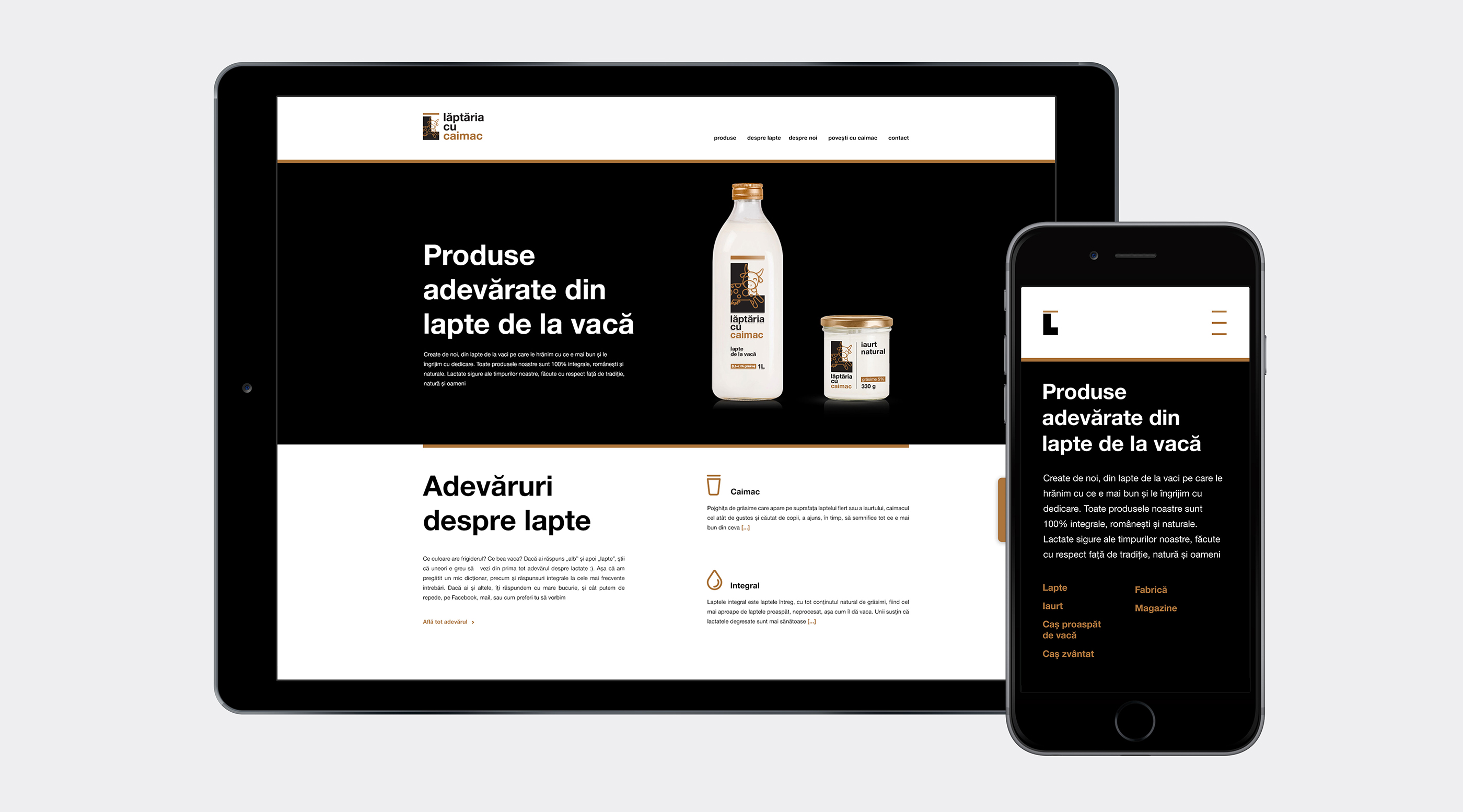 website design